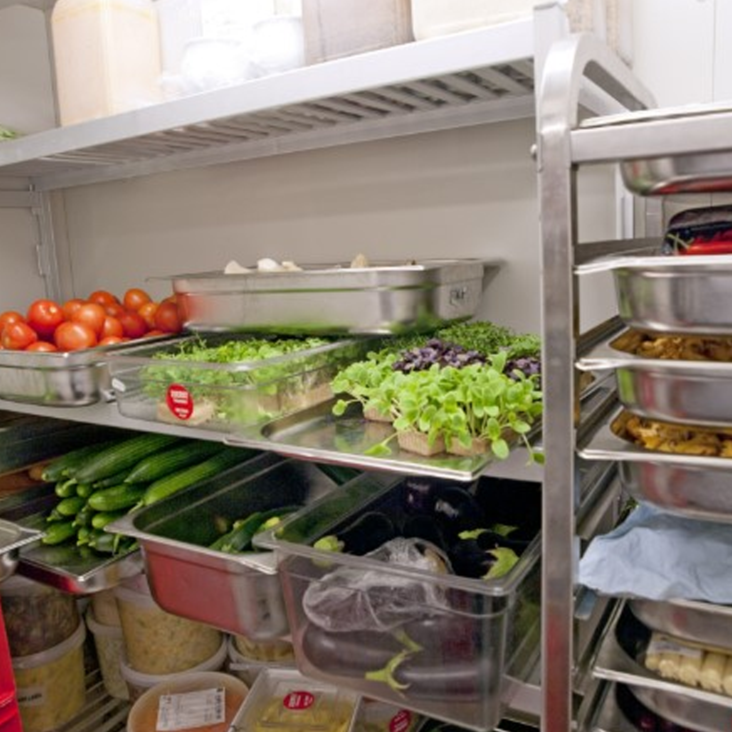 Products on catering shelves inside a cold Room